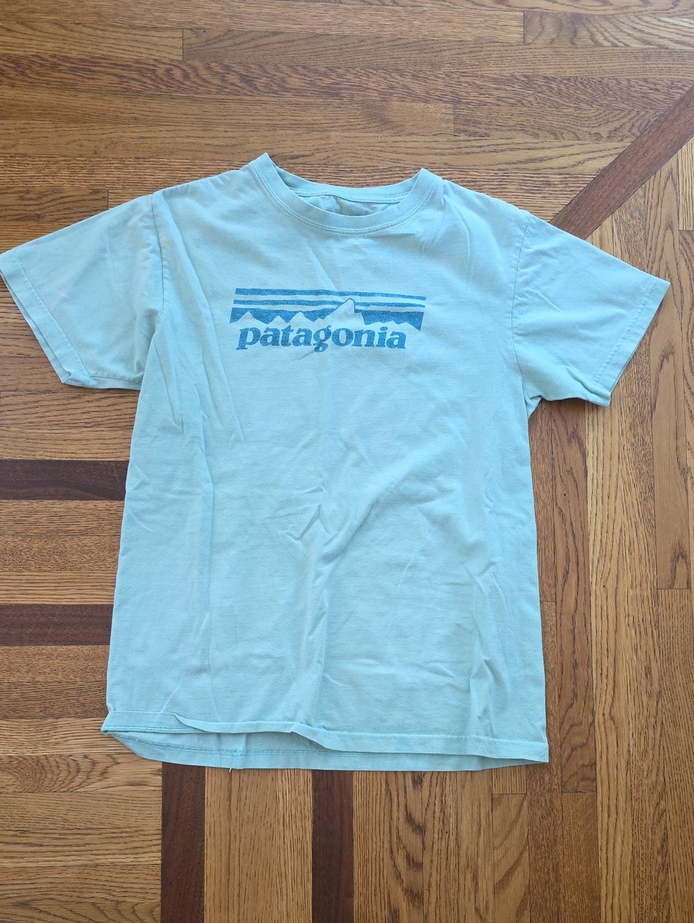 Patagonia Light Teal Short Sleeve Logo Tee Womens Size M